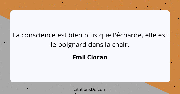 La conscience est bien plus que l'écharde, elle est le poignard dans la chair.... - Emil Cioran