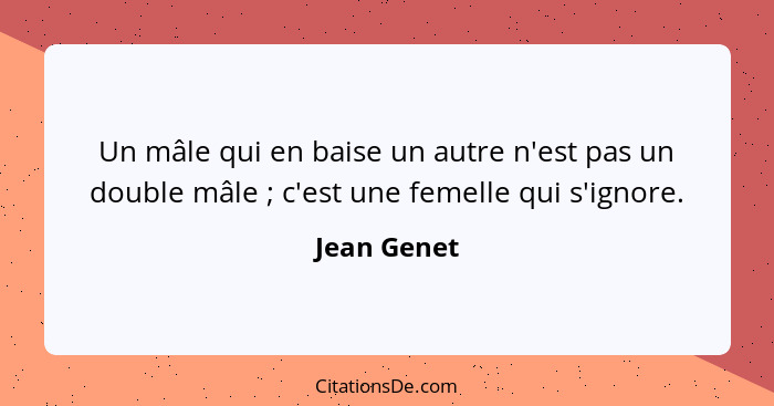 Un mâle qui en baise un autre n'est pas un double mâle ; c'est une femelle qui s'ignore.... - Jean Genet