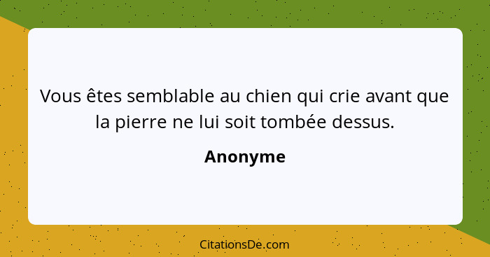 Vous êtes semblable au chien qui crie avant que la pierre ne lui soit tombée dessus.... - Anonyme