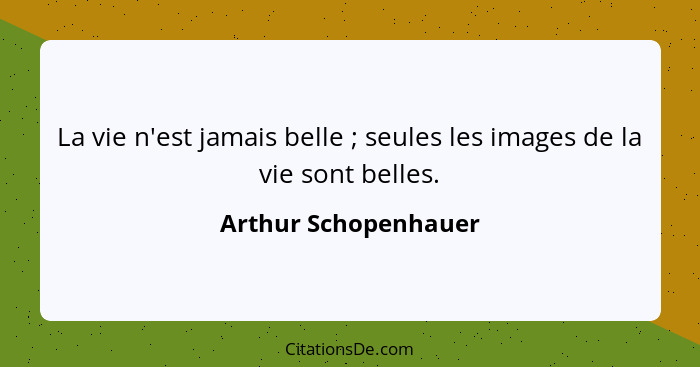 La vie n'est jamais belle ; seules les images de la vie sont belles.... - Arthur Schopenhauer