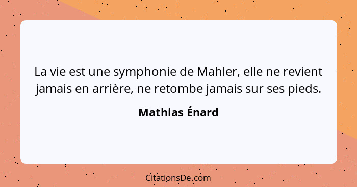 La vie est une symphonie de Mahler, elle ne revient jamais en arrière, ne retombe jamais sur ses pieds.... - Mathias Énard