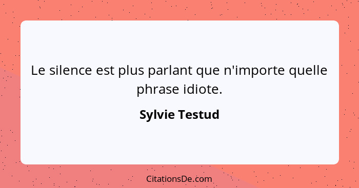 Le silence est plus parlant que n'importe quelle phrase idiote.... - Sylvie Testud