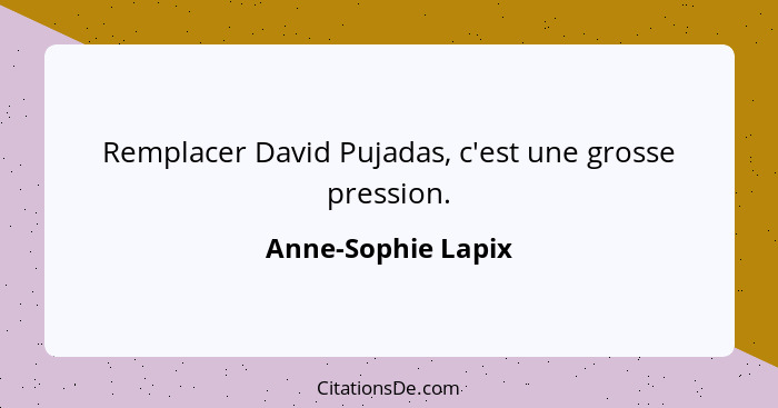 Remplacer David Pujadas, c'est une grosse pression.... - Anne-Sophie Lapix