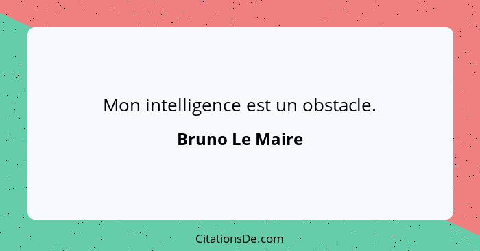 Mon intelligence est un obstacle.... - Bruno Le Maire