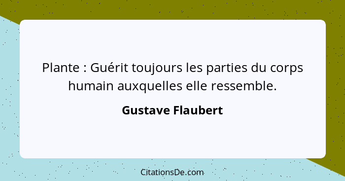 Plante : Guérit toujours les parties du corps humain auxquelles elle ressemble.... - Gustave Flaubert