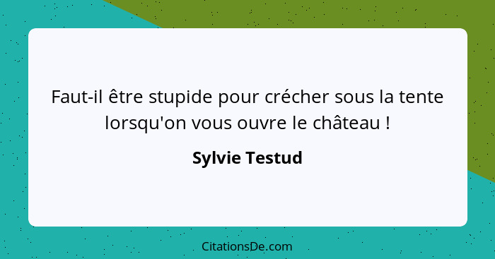 Faut-il être stupide pour crécher sous la tente lorsqu'on vous ouvre le château !... - Sylvie Testud