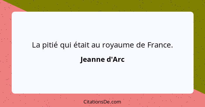 Jeanne D Arc La Pitie Qui Etait Au Royaume De France