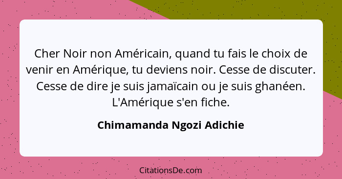 Cher Noir non Américain, quand tu fais le choix de venir en Amérique, tu deviens noir. Cesse de discuter. Cesse de dire je... - Chimamanda Ngozi Adichie