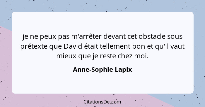 je ne peux pas m'arrêter devant cet obstacle sous prétexte que David était tellement bon et qu'il vaut mieux que je reste chez moi... - Anne-Sophie Lapix