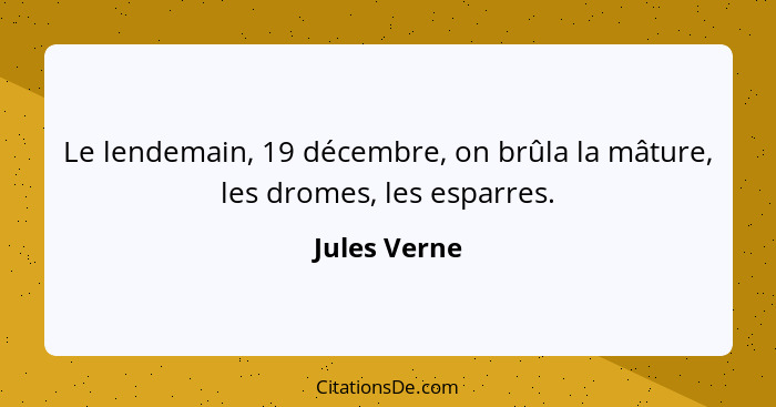 Le lendemain, 19 décembre, on brûla la mâture, les dromes, les esparres.... - Jules Verne