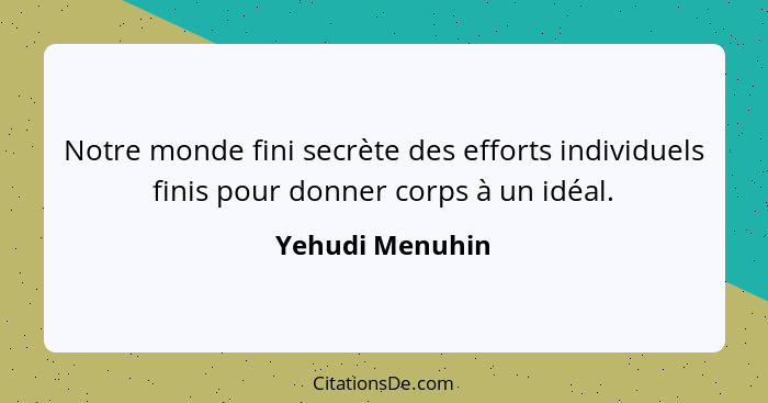 Notre monde fini secrète des efforts individuels finis pour donner corps à un idéal.... - Yehudi Menuhin