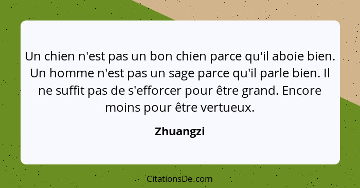 Un chien n'est pas un bon chien parce qu'il aboie bien. Un homme n'est pas un sage parce qu'il parle bien. Il ne suffit pas de s'efforcer p... - Zhuangzi