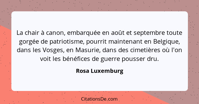 La chair à canon, embarquée en août et septembre toute gorgée de patriotisme, pourrit maintenant en Belgique, dans les Vosges, en Mas... - Rosa Luxemburg