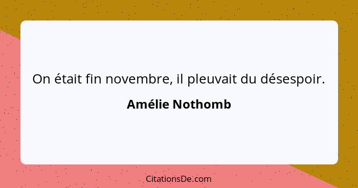 On était fin novembre, il pleuvait du désespoir.... - Amélie Nothomb