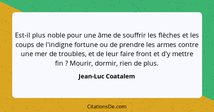 Est-il plus noble pour une âme de souffrir les flèches et les coups de l'indigne fortune ou de prendre les armes contre une mer de... - Jean-Luc Coatalem