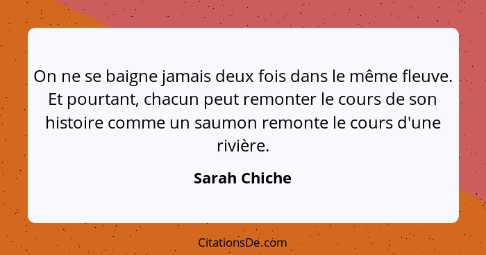 On ne se baigne jamais deux fois dans le même fleuve. Et pourtant, chacun peut remonter le cours de son histoire comme un saumon remont... - Sarah Chiche