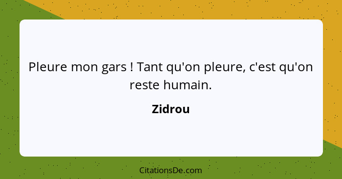 Pleure mon gars ! Tant qu'on pleure, c'est qu'on reste humain.... - Zidrou