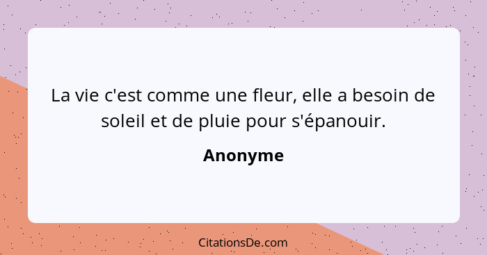 La vie c'est comme une fleur, elle a besoin de soleil et de pluie pour s'épanouir.... - Anonyme