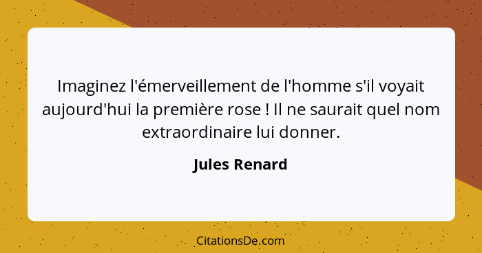 Imaginez l'émerveillement de l'homme s'il voyait aujourd'hui la première rose ! Il ne saurait quel nom extraordinaire lui donner.... - Jules Renard