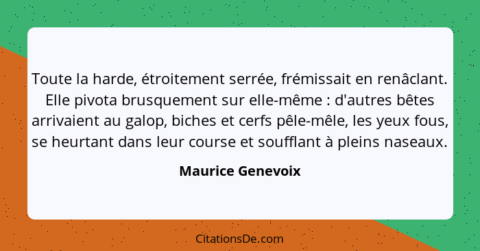 Toute la harde, étroitement serrée, frémissait en renâclant. Elle pivota brusquement sur elle-même : d'autres bêtes arrivaient... - Maurice Genevoix