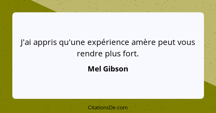 J'ai appris qu'une expérience amère peut vous rendre plus fort.... - Mel Gibson