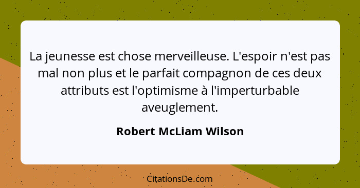 La jeunesse est chose merveilleuse. L'espoir n'est pas mal non plus et le parfait compagnon de ces deux attributs est l'optimis... - Robert McLiam Wilson