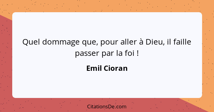 Quel dommage que, pour aller à Dieu, il faille passer par la foi !... - Emil Cioran