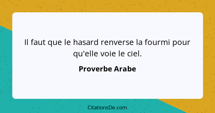 Il faut que le hasard renverse la fourmi pour qu'elle voie le ciel.... - Proverbe Arabe