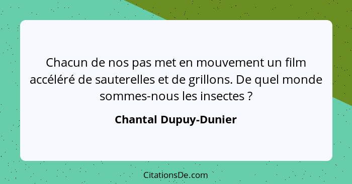 Chacun de nos pas met en mouvement un film accéléré de sauterelles et de grillons. De quel monde sommes-nous les insectes ... - Chantal Dupuy-Dunier