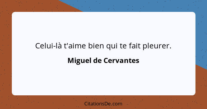 Celui-là t'aime bien qui te fait pleurer.... - Miguel de Cervantes