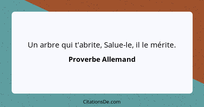 Un arbre qui t'abrite, Salue-le, il le mérite.... - Proverbe Allemand