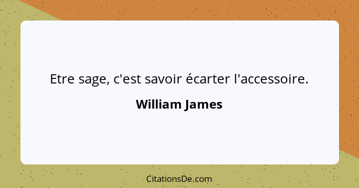 Etre sage, c'est savoir écarter l'accessoire.... - William James