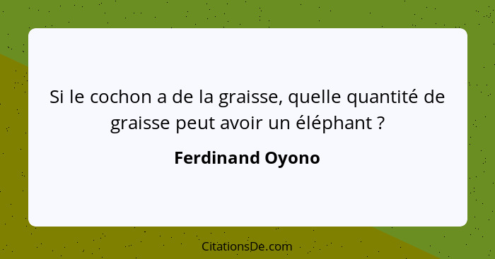 Si le cochon a de la graisse, quelle quantité de graisse peut avoir un éléphant ?... - Ferdinand Oyono