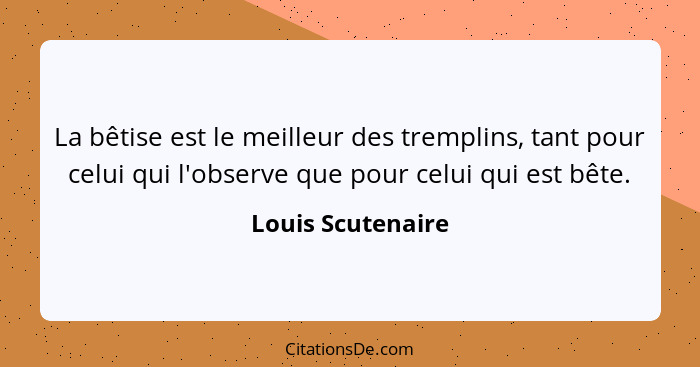 La bêtise est le meilleur des tremplins, tant pour celui qui l'observe que pour celui qui est bête.... - Louis Scutenaire