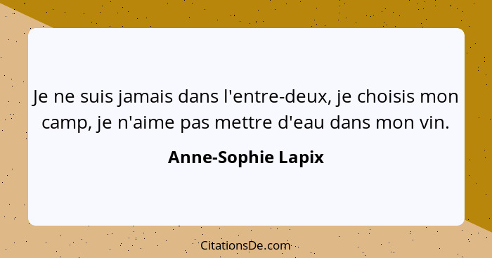 Je ne suis jamais dans l'entre-deux, je choisis mon camp, je n'aime pas mettre d'eau dans mon vin.... - Anne-Sophie Lapix