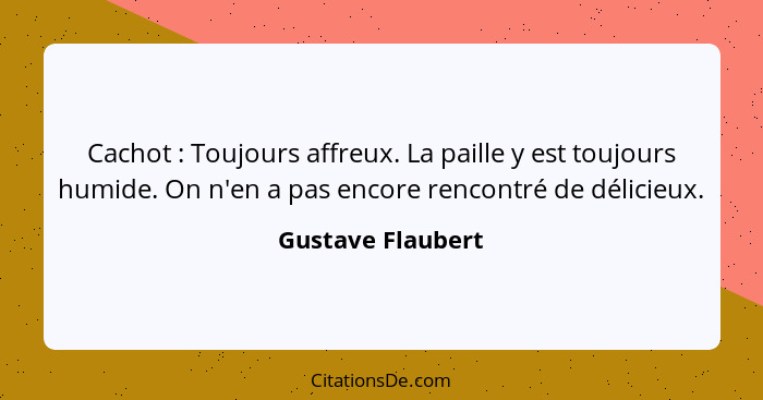 Cachot : Toujours affreux. La paille y est toujours humide. On n'en a pas encore rencontré de délicieux.... - Gustave Flaubert