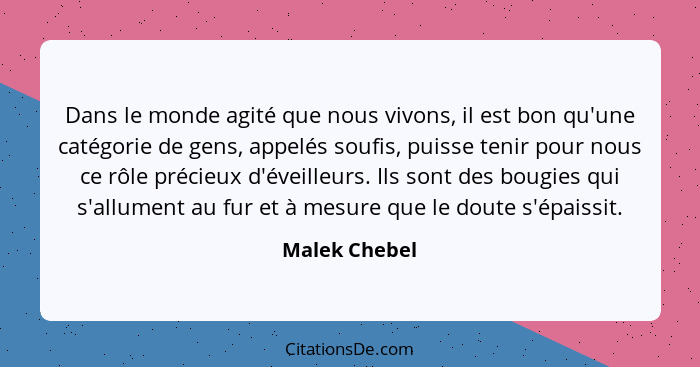 Dans le monde agité que nous vivons, il est bon qu'une catégorie de gens, appelés soufis, puisse tenir pour nous ce rôle précieux d'éve... - Malek Chebel