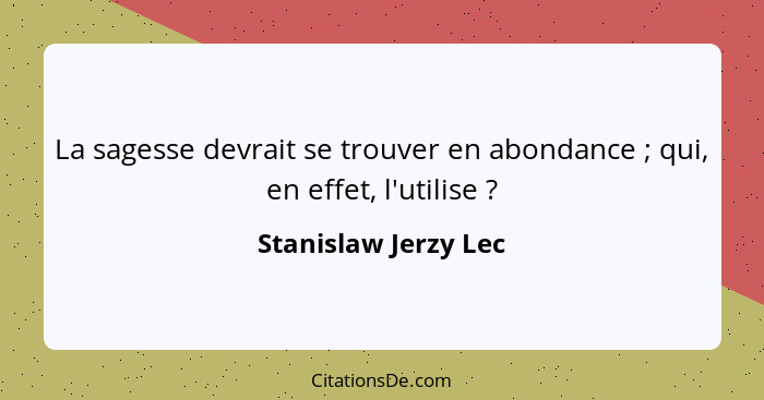 La sagesse devrait se trouver en abondance ; qui, en effet, l'utilise ?... - Stanislaw Jerzy Lec