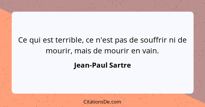 Ce qui est terrible, ce n'est pas de souffrir ni de mourir, mais de mourir en vain.... - Jean-Paul Sartre