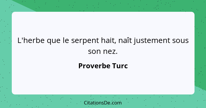 L'herbe que le serpent hait, naît justement sous son nez.... - Proverbe Turc