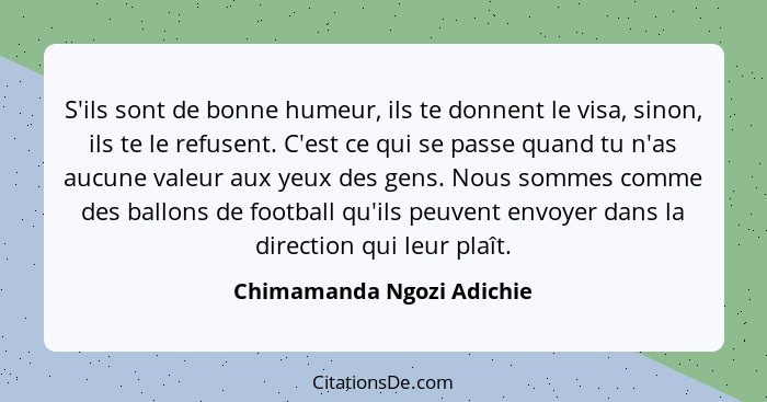 S'ils sont de bonne humeur, ils te donnent le visa, sinon, ils te le refusent. C'est ce qui se passe quand tu n'as aucune v... - Chimamanda Ngozi Adichie