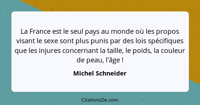 La France est le seul pays au monde où les propos visant le sexe sont plus punis par des lois spécifiques que les injures concernan... - Michel Schneider