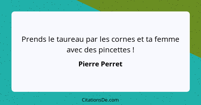 Prends le taureau par les cornes et ta femme avec des pincettes !... - Pierre Perret