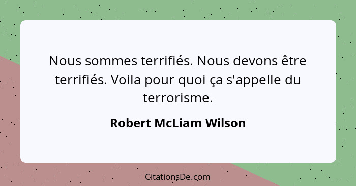 Nous sommes terrifiés. Nous devons être terrifiés. Voila pour quoi ça s'appelle du terrorisme.... - Robert McLiam Wilson