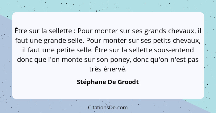 Être sur la sellette : Pour monter sur ses grands chevaux, il faut une grande selle. Pour monter sur ses petits chevaux, il... - Stéphane De Groodt