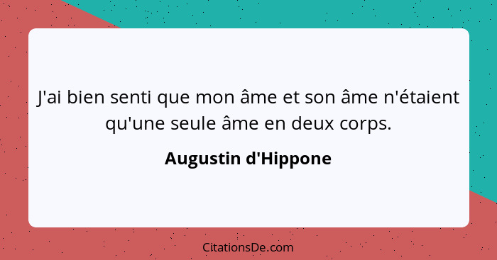 J'ai bien senti que mon âme et son âme n'étaient qu'une seule âme en deux corps.... - Augustin d'Hippone