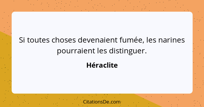 Si toutes choses devenaient fumée, les narines pourraient les distinguer.... - Héraclite