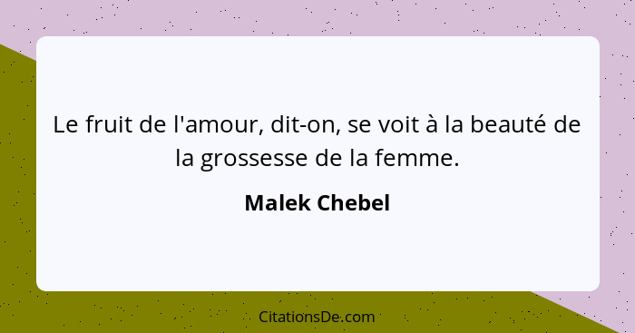 Le fruit de l'amour, dit-on, se voit à la beauté de la grossesse de la femme.... - Malek Chebel