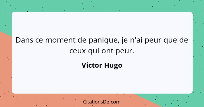 Dans ce moment de panique, je n'ai peur que de ceux qui ont peur.... - Victor Hugo