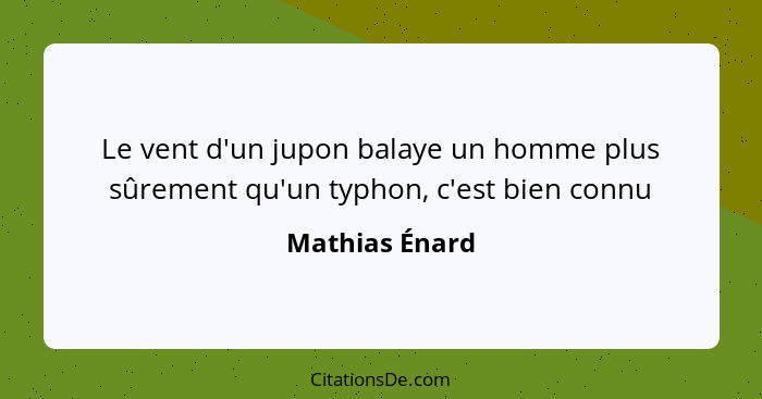 Le vent d'un jupon balaye un homme plus sûrement qu'un typhon, c'est bien connu... - Mathias Énard